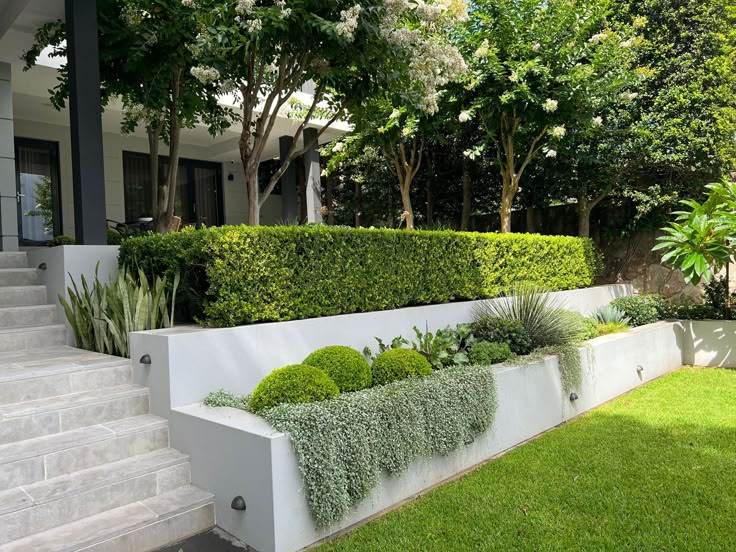 an outdoor garden with white walls and green plants in the planter boxes on the side of the house