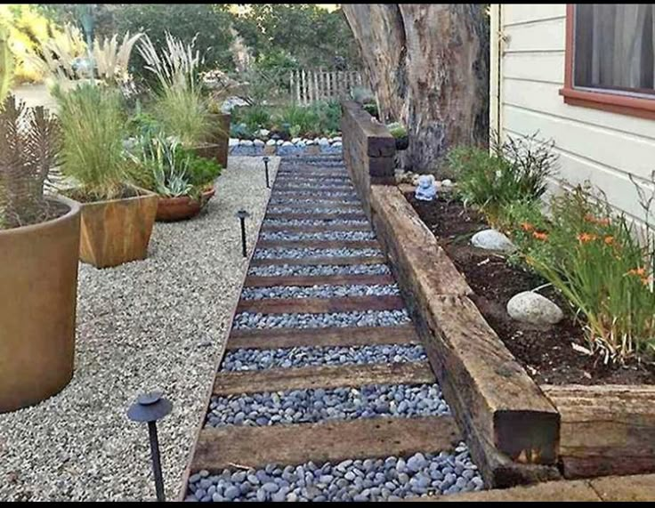 an outdoor garden area with gravel and plants