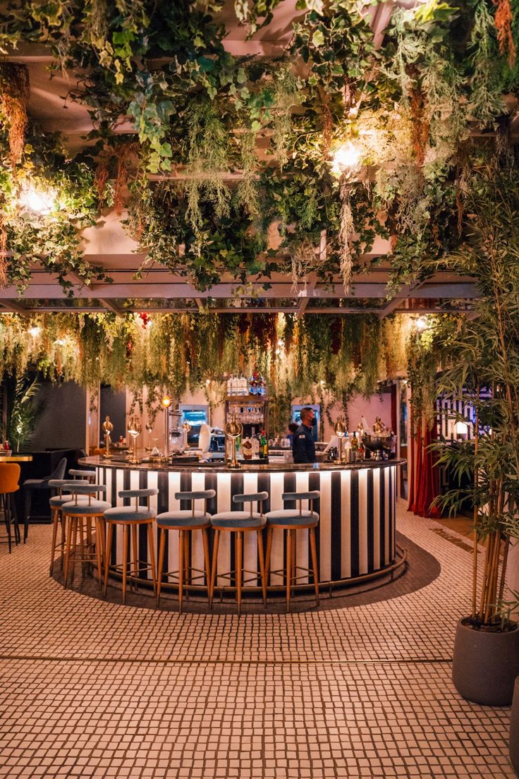 an indoor bar with plants growing on the ceiling