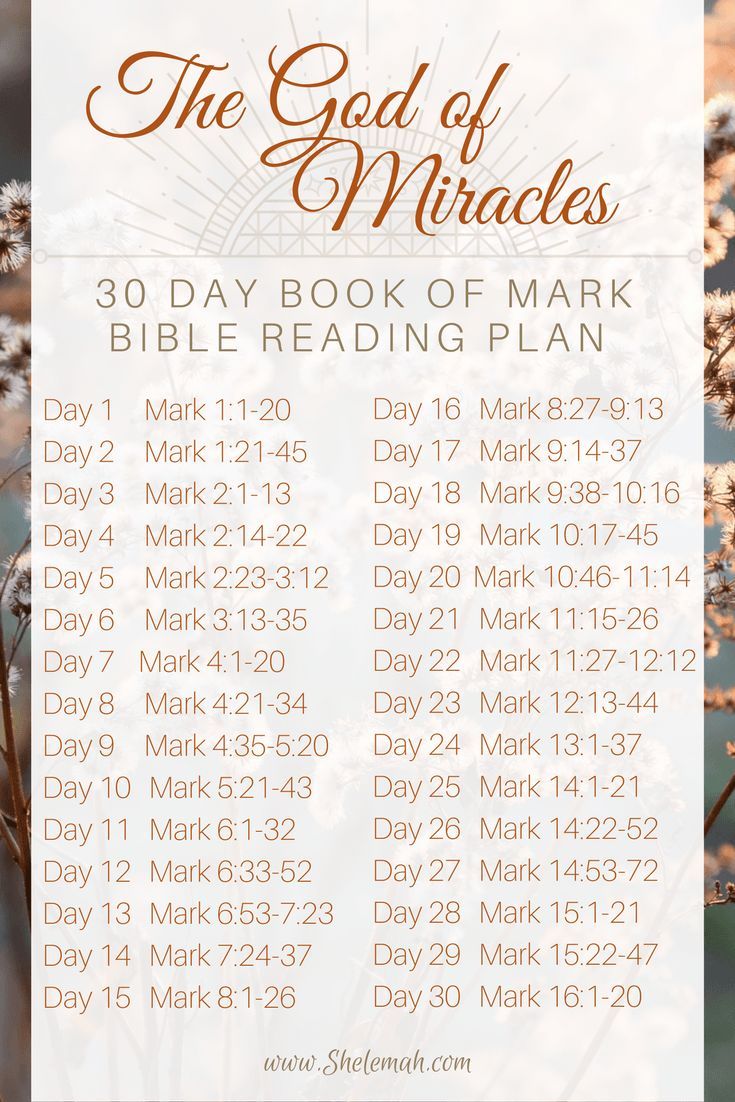 the god of miracles bible reading plan with flowers in front of it and text overlay that reads 30 day book of mark