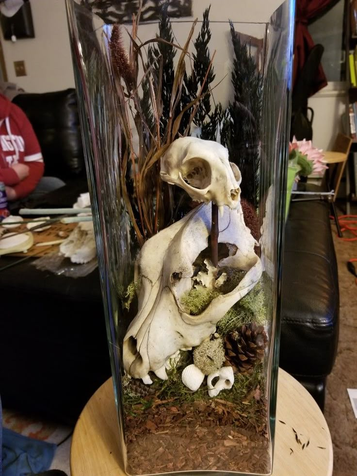 a glass vase filled with fake skulls and plants on top of a wooden table next to a couch