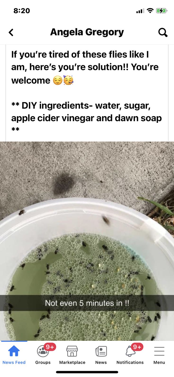 a white bowl filled with green liquid on top of a sidewalk