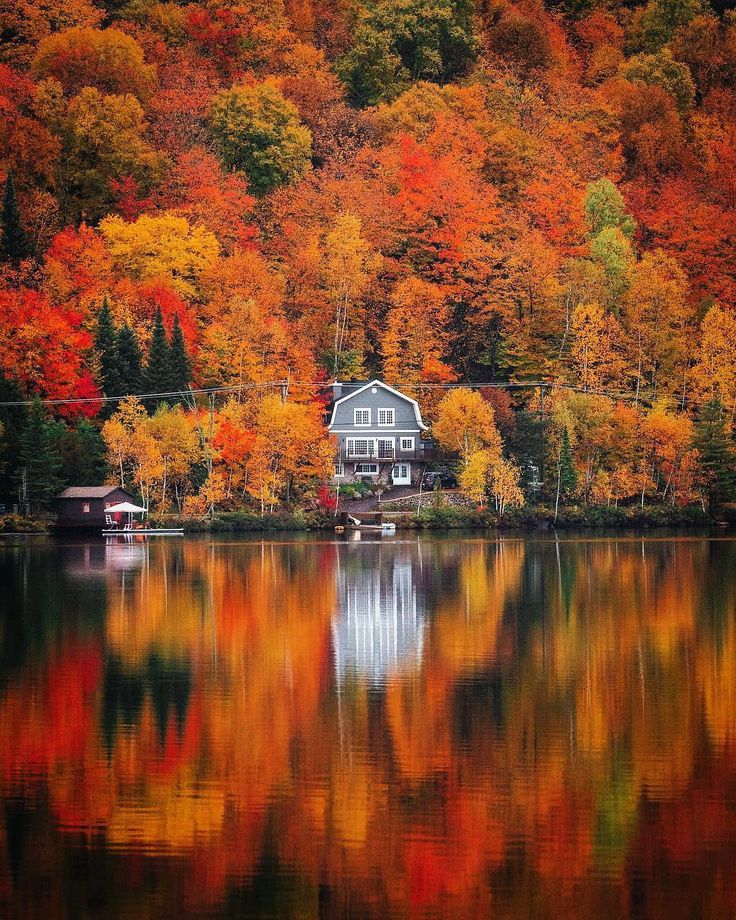 a house sitting on the edge of a lake surrounded by trees with fall foliage around it