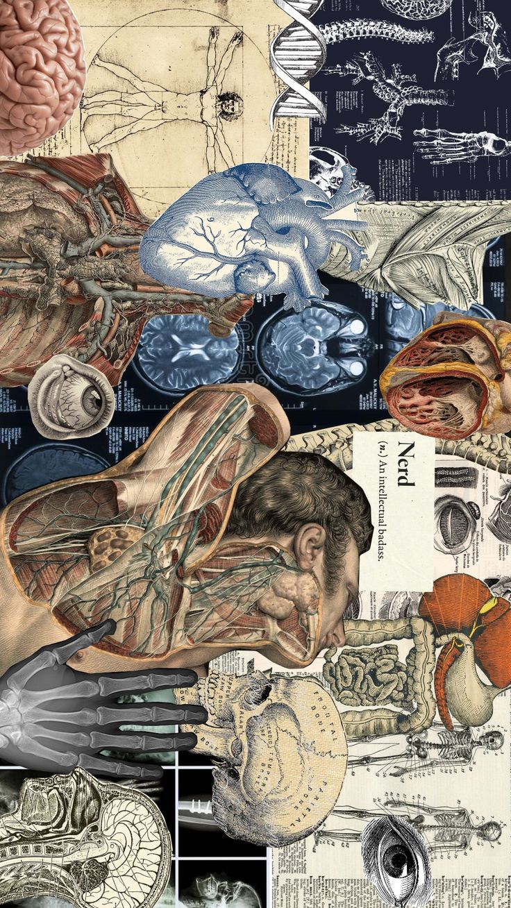 a collage of different medical images including the human body, brain and nervous systems