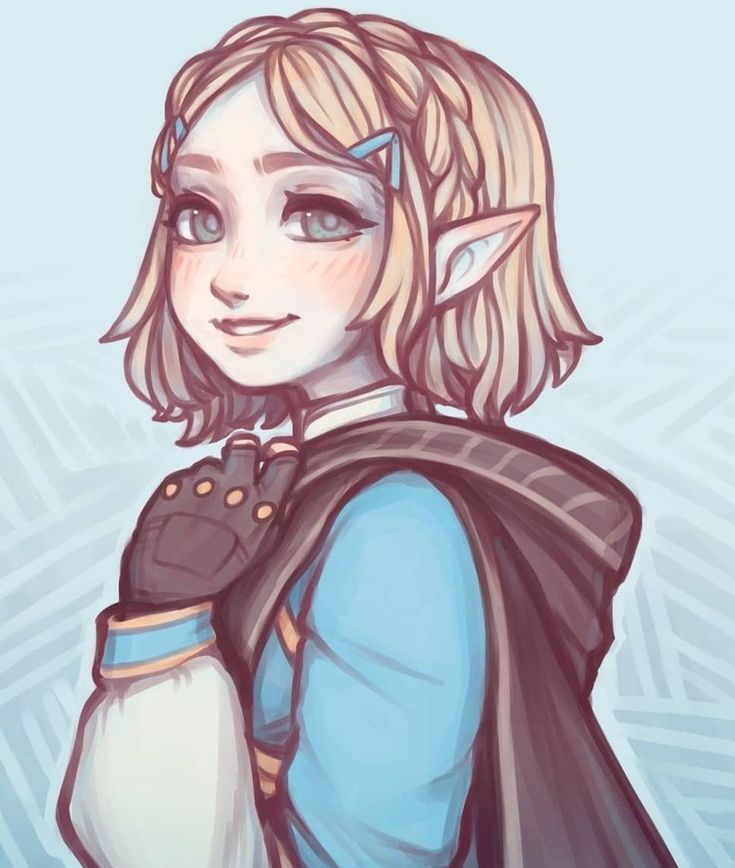 Legend of Zelda Breath of the Wild sequel art > Princess Zelda > botw 2 ...