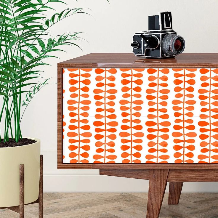 an orange and white painted cabinet next to a potted plant with a camera on top