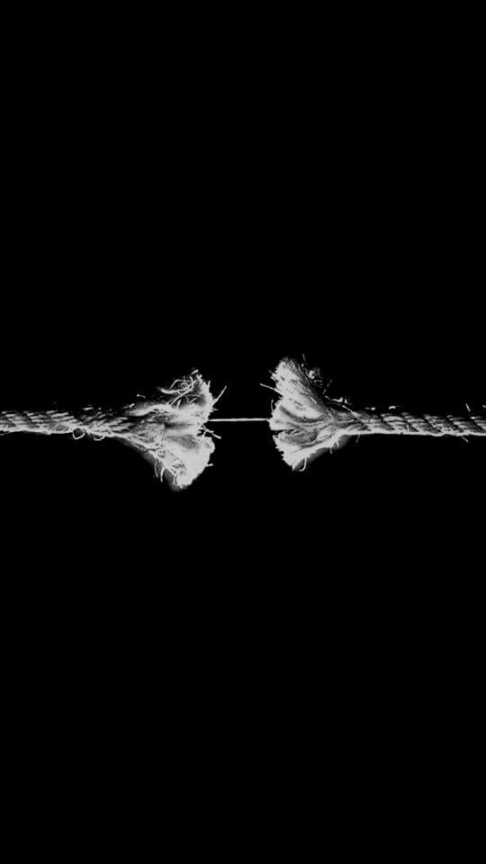 two feathers are on the edge of a rope in black and white, against a dark background