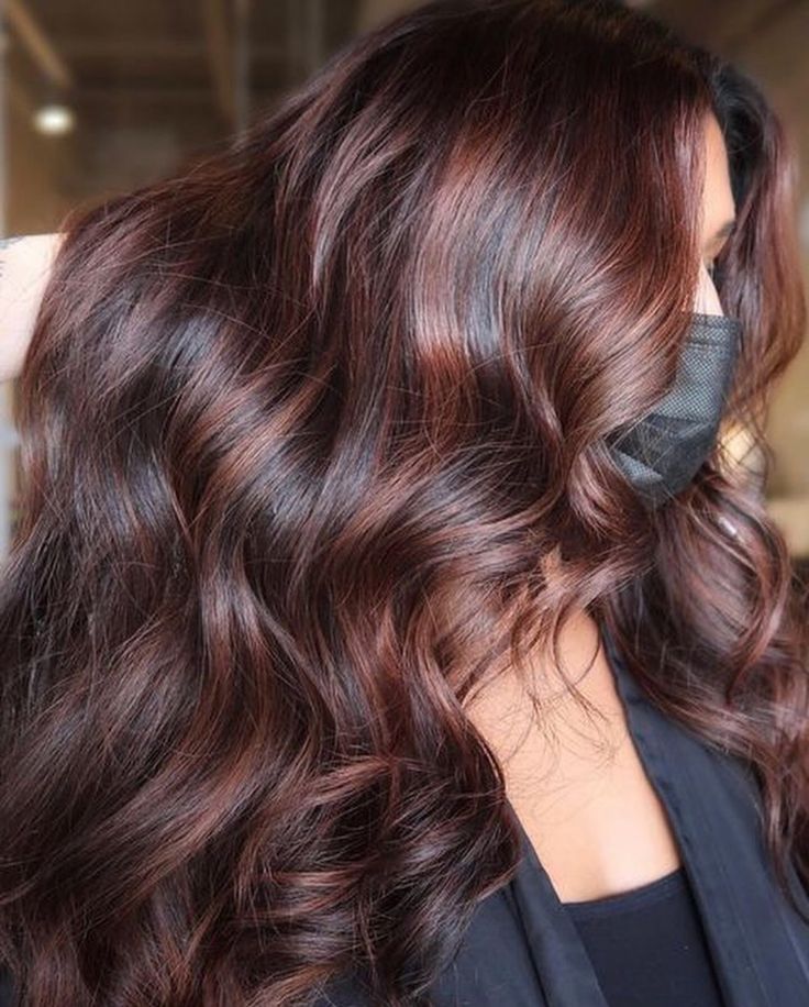 Brown Hair With Red Babylights, Red Babylights On Brown Hair, Auburn Babylights Dark Hair, Dark Red Low Lights For Brown Hair, Dark Brown Hair With Auburn, Chocolate Brown Red Balayage, Chocolate Red Hair With Highlights, Reddish Brown Hair Balayage, Red Babylights On Dark Hair