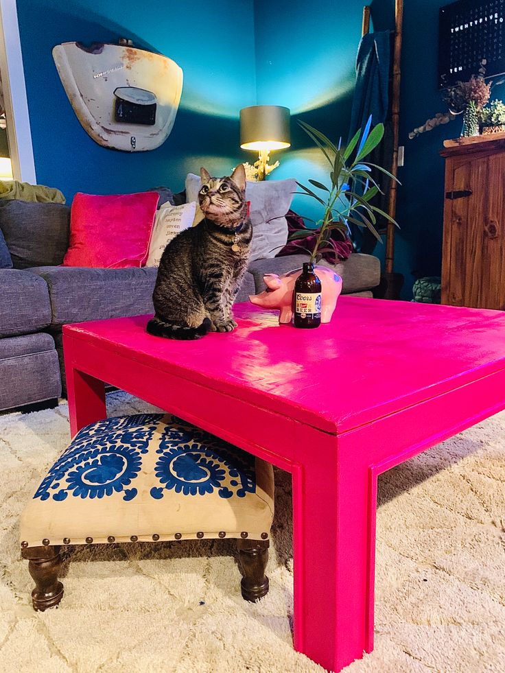 a cat sitting on top of a pink table next to a blue couch in a living room