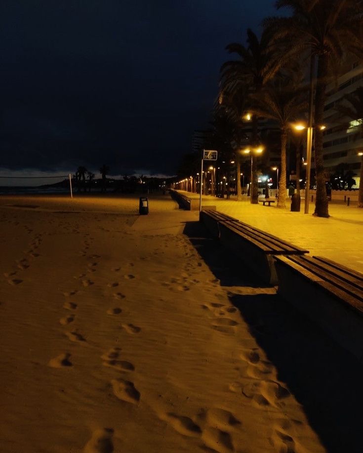 a bench sitting on top of a sandy beach next to palm trees and street lights