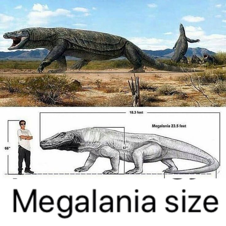 an image of a man standing next to a large dinosaur