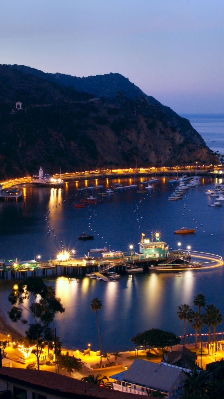 a harbor filled with lots of boats next to a large mountain covered in night lights