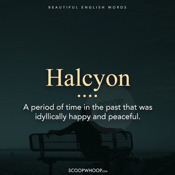 a person sitting on top of a bench with the words halcyon above it