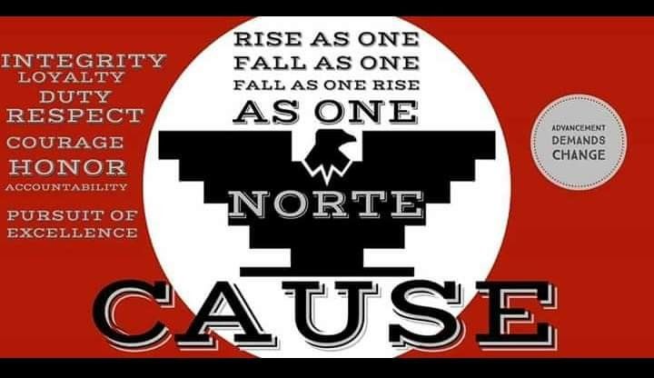 an advertisement for the north cause with words in black and white on a red background