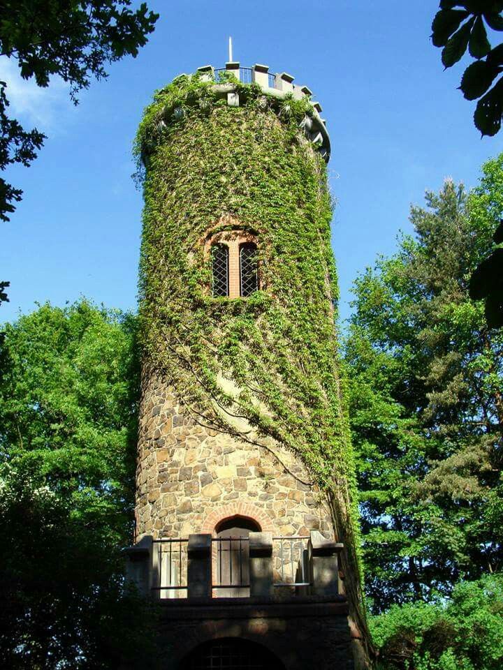 a tall tower with vines growing on it's side and windows in the middle