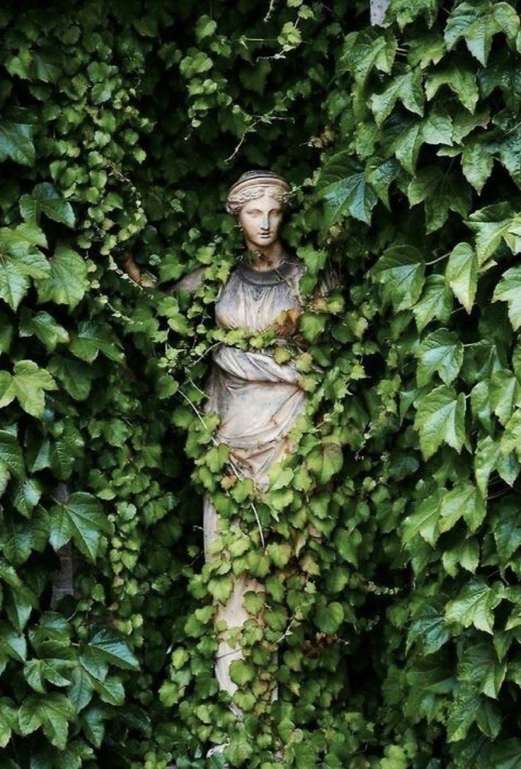 a statue is surrounded by ivy in the middle of an area that looks like it's growing