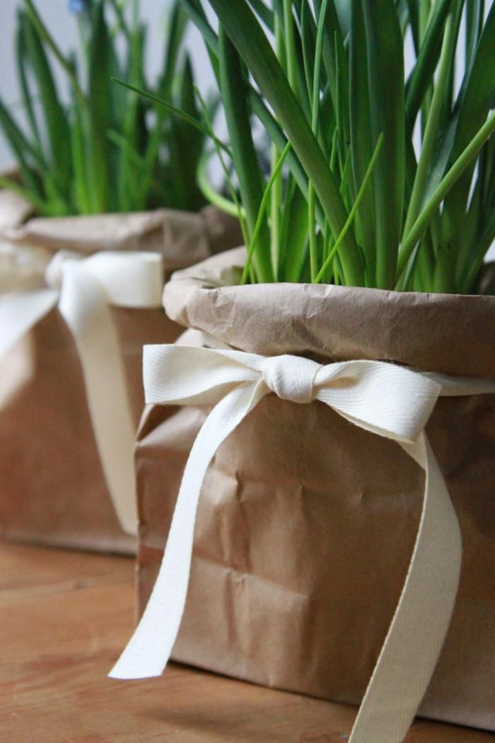 two brown bags with green plants in them