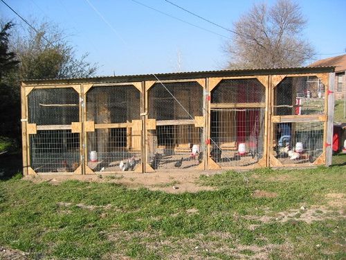 an outdoor chicken coop with several chickens in it's cages and one on the ground