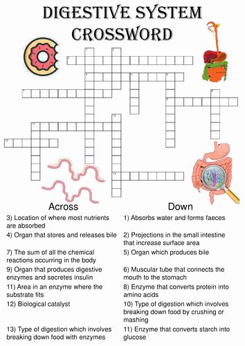 a crossword puzzle with words and pictures on the page, which includes an image of food