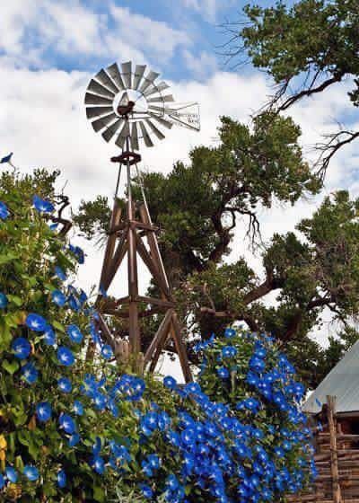 a windmill sitting next to blue flowers and trees