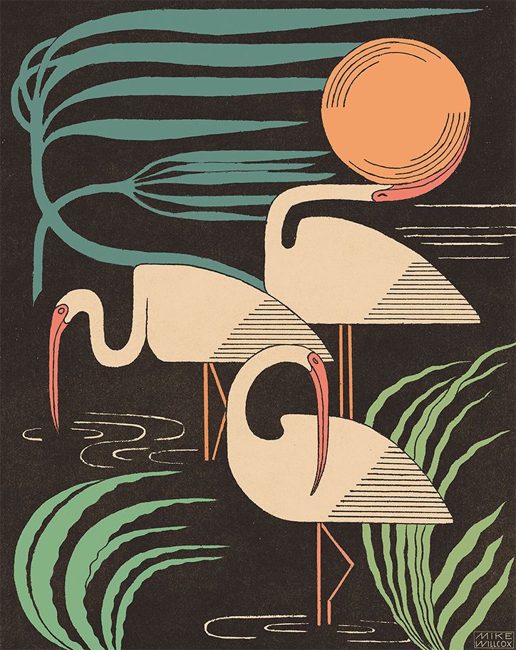 two flamingos standing next to each other in the water