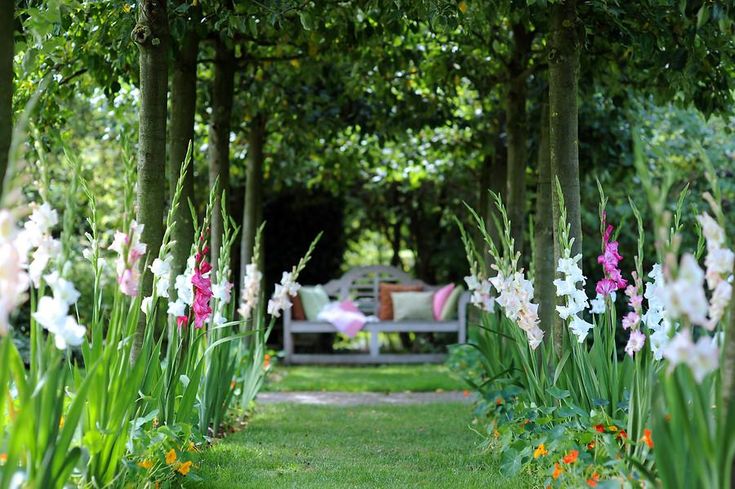 a bench sitting in the middle of a lush green park filled with trees and flowers