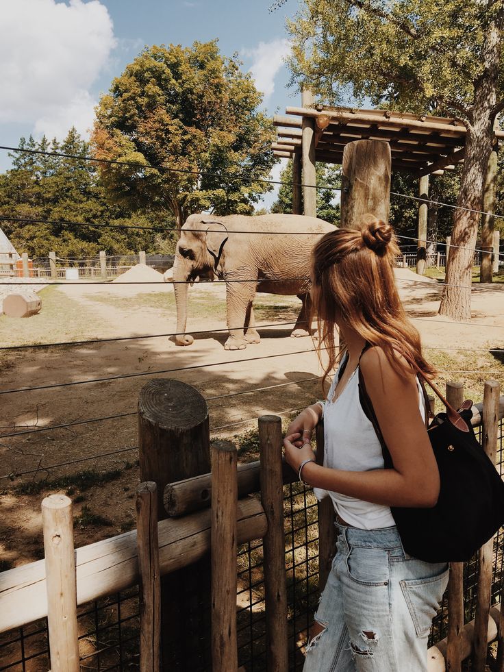 a woman standing next to a fence looking at an elephant