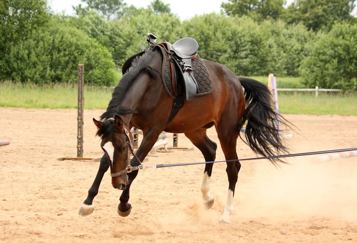 a person riding on the back of a brown horse in dirt field next to trees