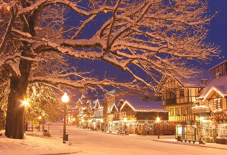 a snowy street at night with lights on and trees in the foreground as well as buildings