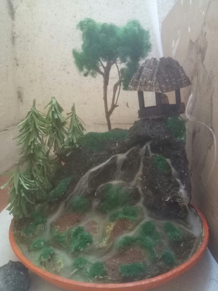 a small tree is in the middle of a bowl with water and rocks around it