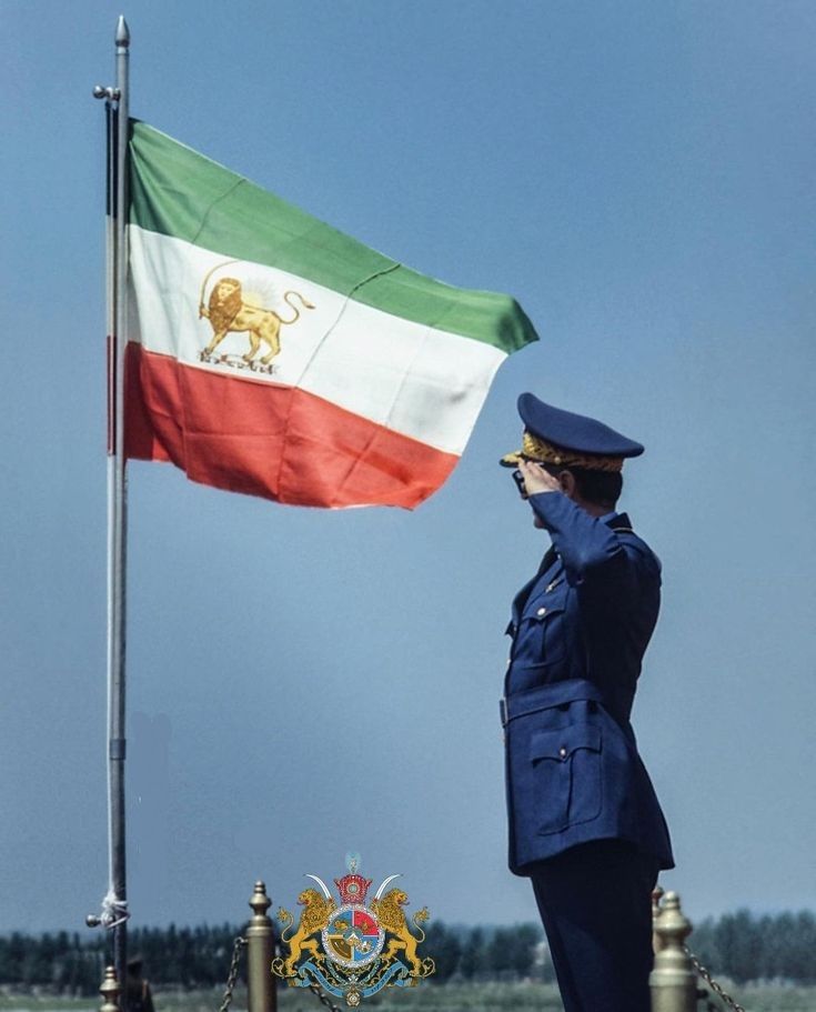 a woman in uniform saluting at the flag on top of a building with a lion emblem