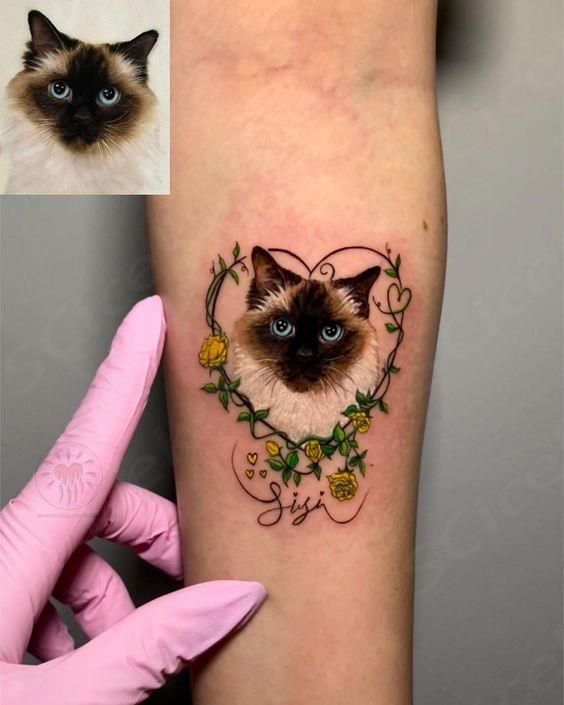 a cat with blue eyes is shown on the left side of the arm, and an image of it's face