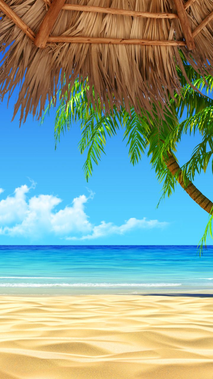 an image of a beach scene with palm trees and the ocean in the back ground