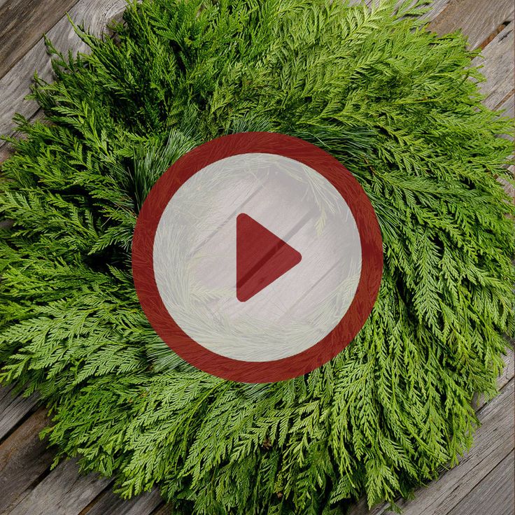 a red and white circle surrounded by green grass on top of a wooden floor with an arrow in the center