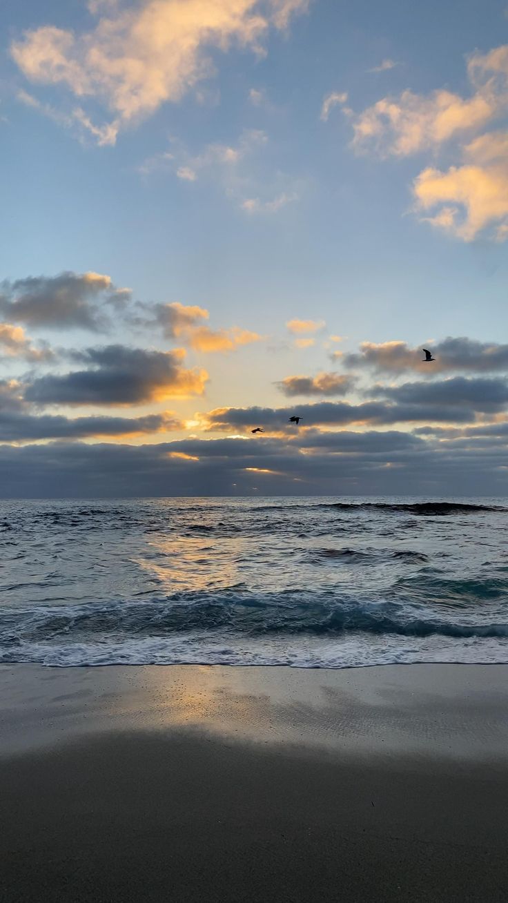 birds flying over the ocean at sunset