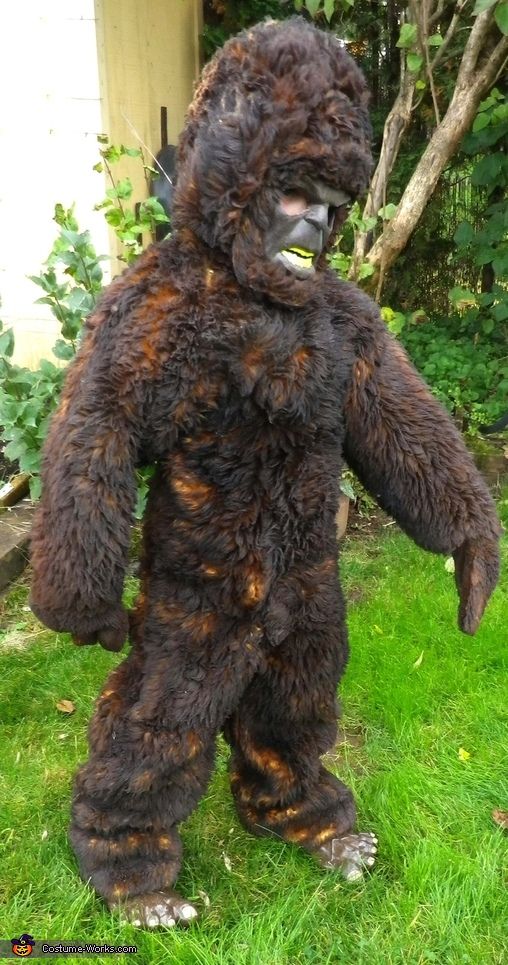 a big furry gorilla standing in the grass