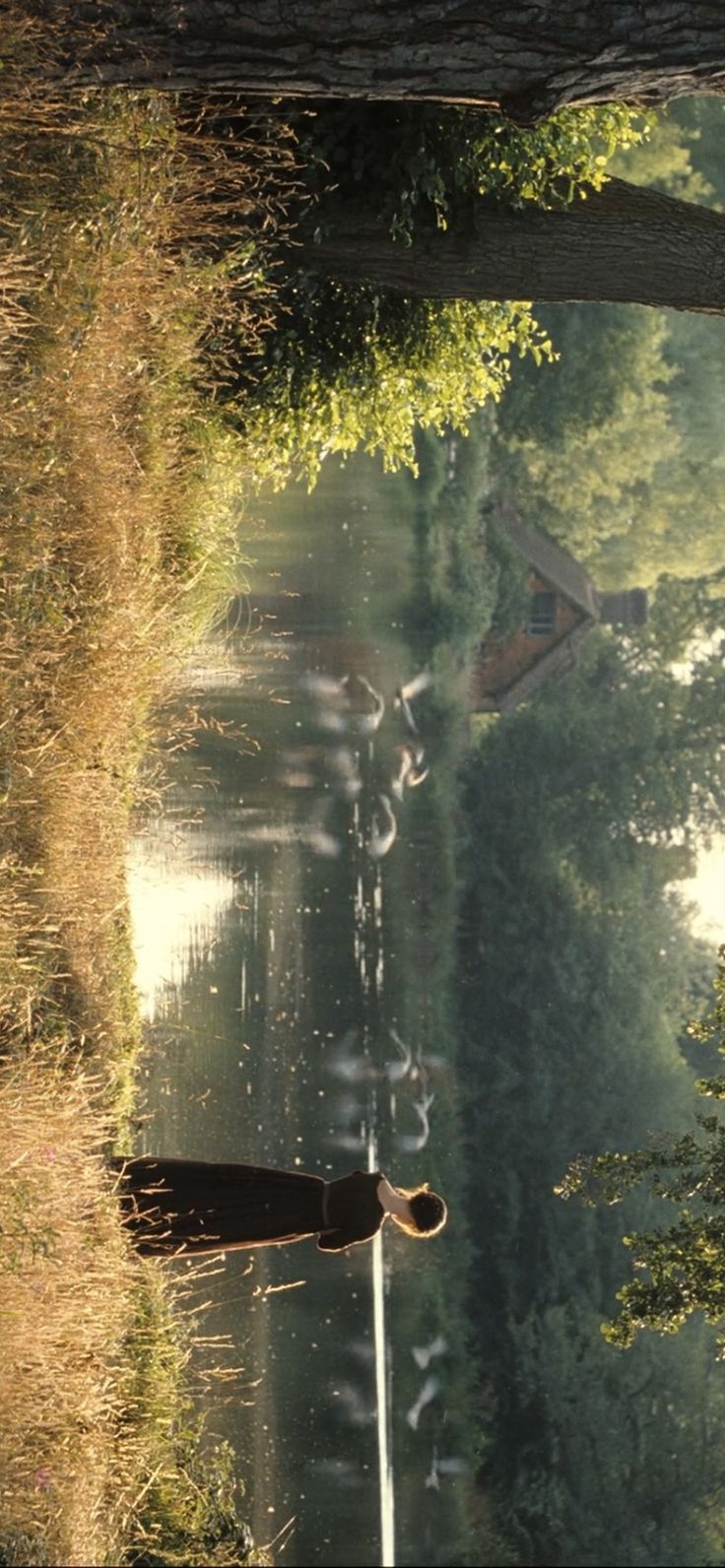 an umbrella is sitting in the grass near some trees and water with birds flying over it