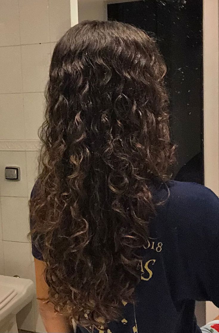 Thick Wavy Brunette Hair, Wavy Hair Inspo Natural Curls, Lightly Wavy Hair, Wavy Hair Lowlights, Beach Waves Hair Perm, Wavy Hair With Layers And Curtain Bangs, Long Wavy Hair Layers, Long Naturally Wavy Hair, Wavy Hair Reference