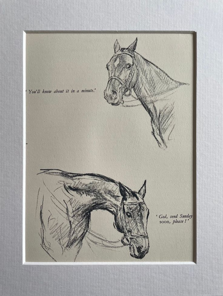 two drawings of horses, one is drawn in pencil and the other has an ink pen