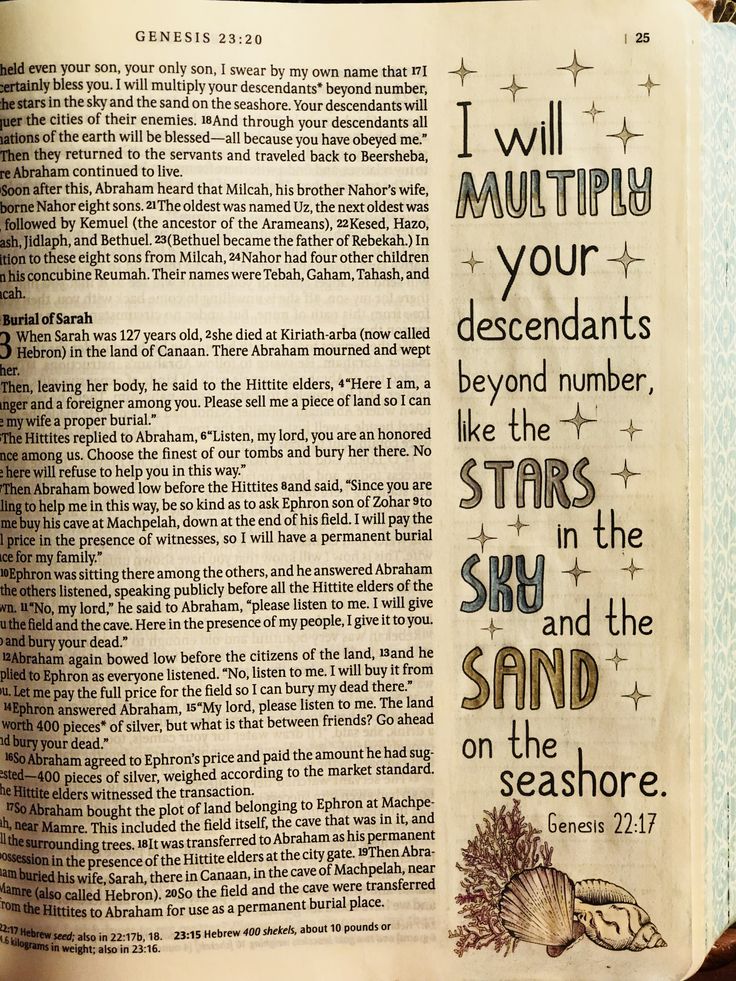 an open bible with the words i will multiply your descendts beyond the stars, sky and the sand on the seashore