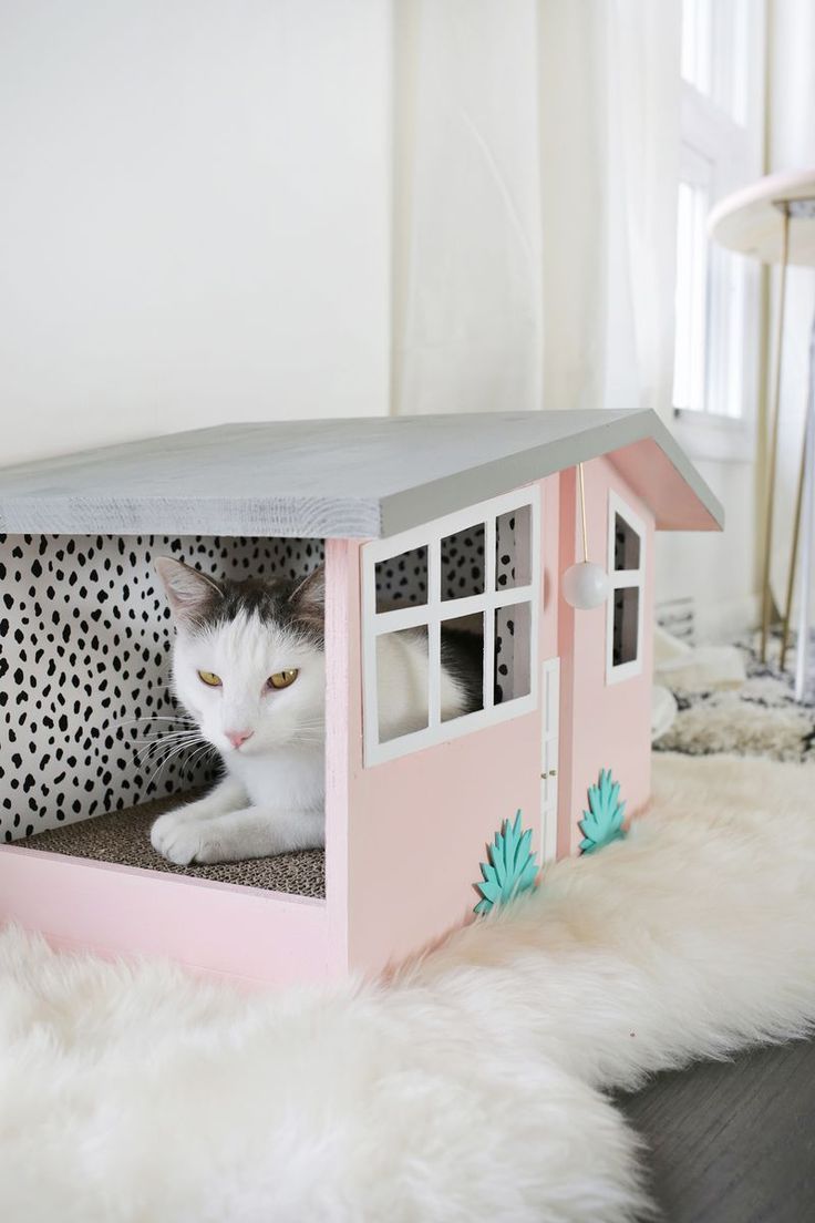 an instagram page with a cat hiding in a doll house that is pink and white