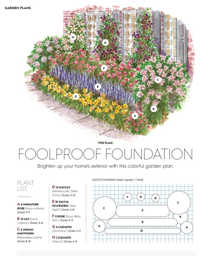 a garden plan with flowers and plants in the center, along with an information sheet on how to plant it