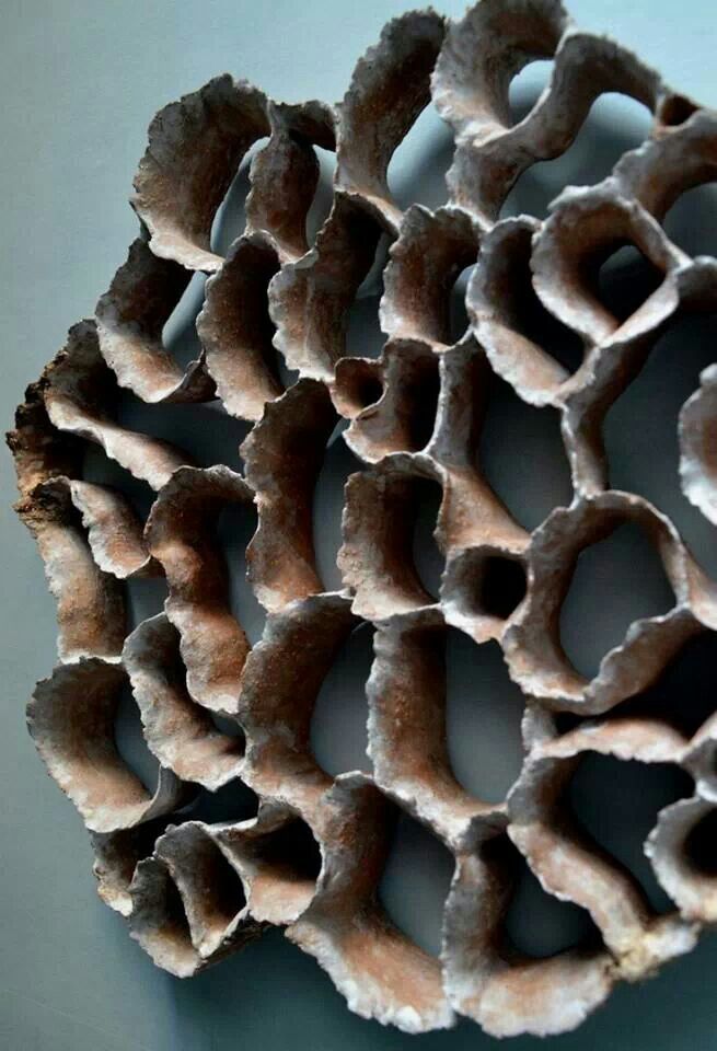 a close up of a piece of coral on a table