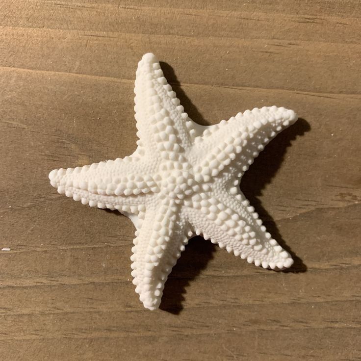 a white starfish sitting on top of a wooden table