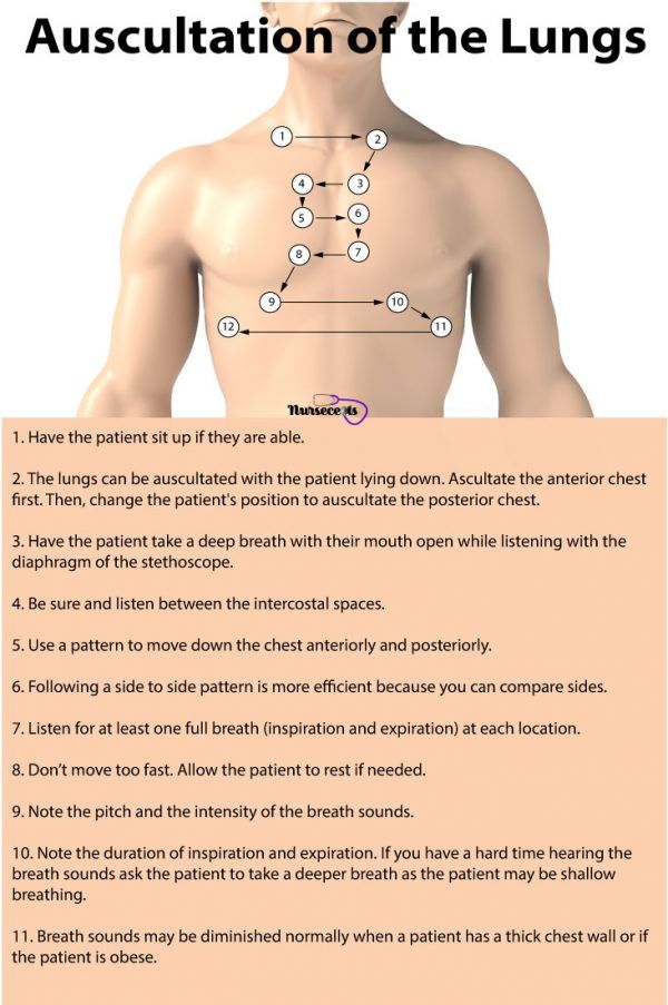 the anatomy of the lungs with instructions on how to use it