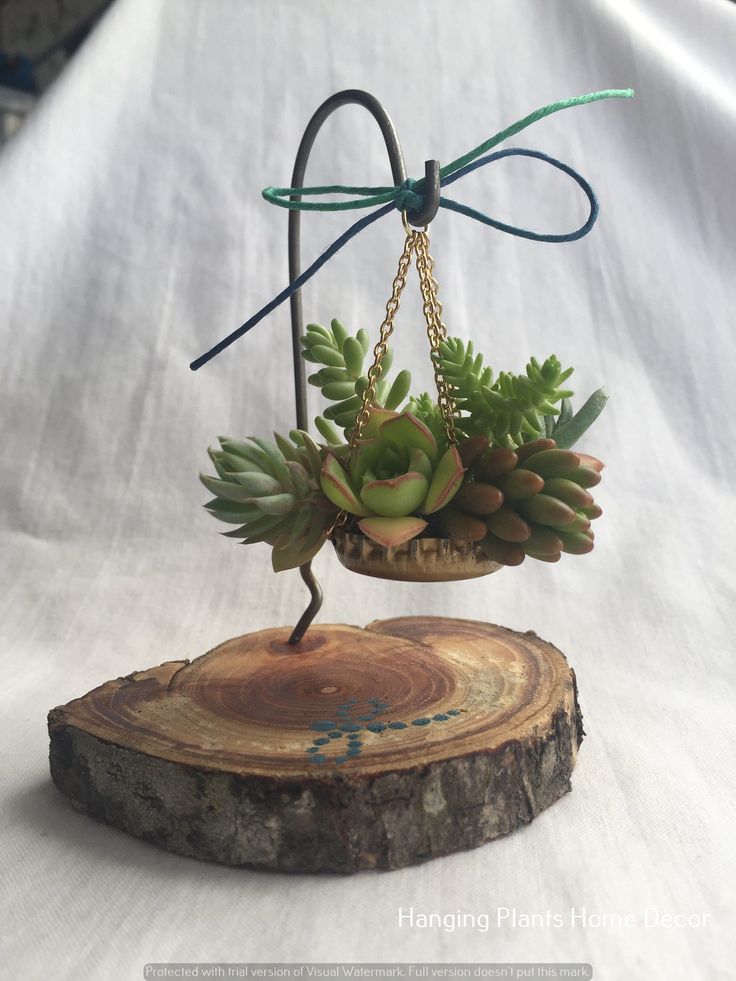 a small potted plant sitting on top of a piece of wood with chains hanging from it