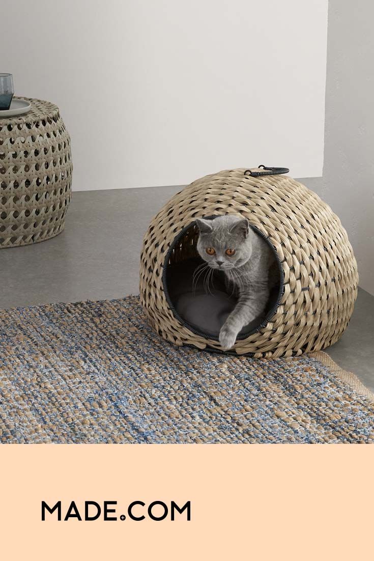 a gray cat sitting in a wicker basket on the floor next to a rug