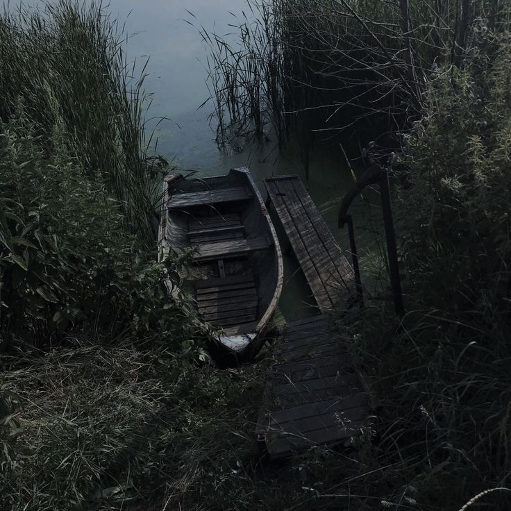 a boat sitting on top of a body of water next to tall grass and bushes