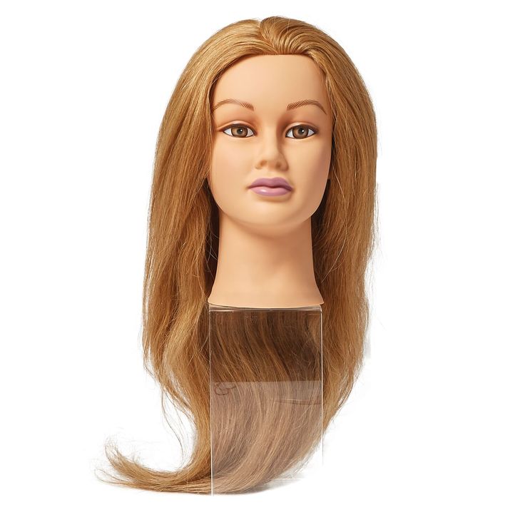 Miss Phoebe Mannequin Head Head Mannequin, Mannequin Head, Sally Beauty, Salon Equipment, Mannequin Heads, Hair Lengths, Hair Ideas, Human Hair, Hair Color