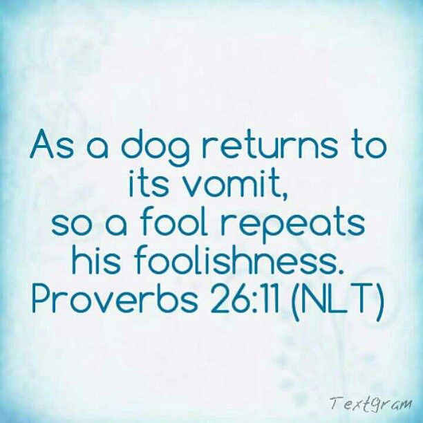 a blue background with the words as a dog returns to its vomitt, so a fool prepares his foolishness provers 2 11 11 11 nil